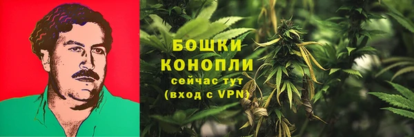 молекула духа Михайлов