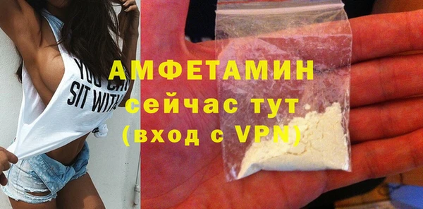 молекула духа Михайлов