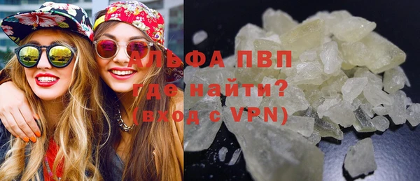 молекула духа Михайлов