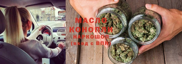 молекула духа Михайлов