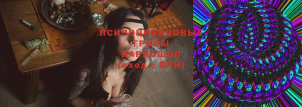 молекула духа Михайлов